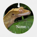 Recherche de cameleon ornements Nature