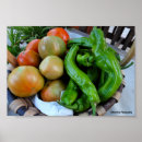Recherche de poivron vert posters Nourriture