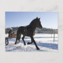 Recherche de poursuite cartes postales Horizontal