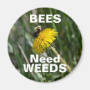 Search for pollinating magnets Pollinate