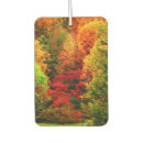 Recherche de actions voiture accessoires Chute