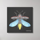 Search for fireflies art Bug