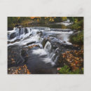 Recherche de mouvement cartes postales Arbre