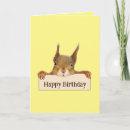Search for funny squirrel birthday cards Woodland