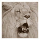 Recherche de chat sauvage posters Animaux sauvages