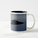 Search for f 22 raptor mugs Horizontal