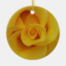 Search for petals ornaments Floral