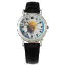 Search for daisy daisies flower floral watches Nature