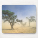 Search for kalahari mousepads Arid