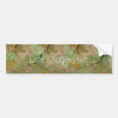 Search for dragonfly bumper stickers Dragonflies