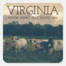 Recherche de laitier autocollants Vache