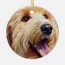 Search for golden doodle ornaments Watercolor