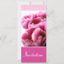 Recherche de tulipe rose invitations Tulipes roses