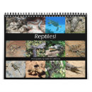 Search for reptile calendars Alligator