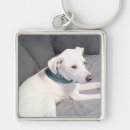 Search for st patricks birthday keychains St patrick's day