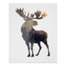 Recherche de moose posters Nature