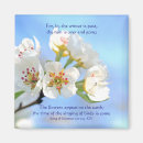 Search for appeared magnets Christian