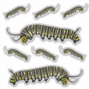 Search for cute caterpillar stickers Bug