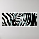 Search for predatory posters Animals