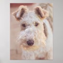 Recherche de art airedale posters Mignonette