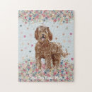 Search for labradoodle puzzles Poodle