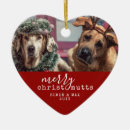 Search for pun ornaments Pet