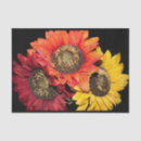 Search for thanksgiving tissue paper Sunflowers