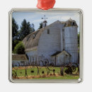 Recherche de washington ornaments Pittoresque