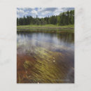 Recherche de nuage cartes postales Rural