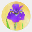 Search for purple iris stickers Flower