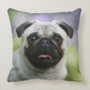 Search for fawn pug pillows headshot
