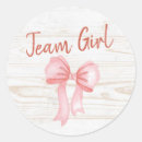 Search for team girl stickers I vote girl