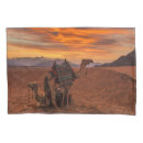Search for camel pillowcases Sand