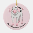 Search for baby pig ornaments Farm animals