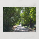 Search for road tree postcards Country