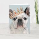 Recherche de french bulldog puppy cards Domestic animals