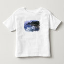 Recherche de côte nord ouest tshirts Océan