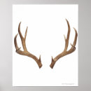Search for trophie art Sports
