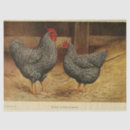 Search for barn tissue paper Ephemera