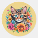 Recherche de chat rond Coloré