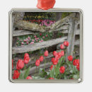 Search for washington state ornaments Skagit valley