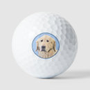Search for golden retriever golf balls Cute