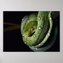 Search for amazon art Black