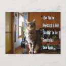 Search for two animals Cat