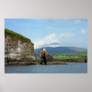 Search for dingle posters Irish