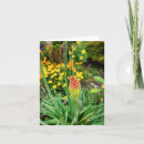 Search for bright red flower cards Garden