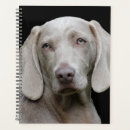 Search for dog planners Weimaraner