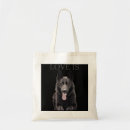Search for shirt bags Dog