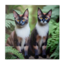 Search for siamese cat tiles Cats