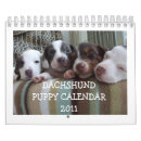 Search for dachshund calendars Puppies